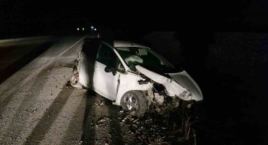 Köpeğe çarpan otomobili görünce manevra yaptı, aracıyla şarampole uçtu