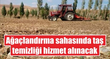 Ağaçlandırma sahasında taş temizliği hizmet alınacak