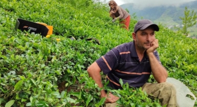 ÇAYKUR’a organik tarım tepkisi