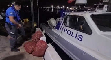 Denizde kaçak salyangoz avlayan kişiye 66 bin TL ceza