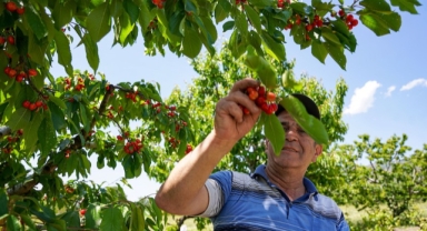 Depremden etkilendi, köyüne geri döndü