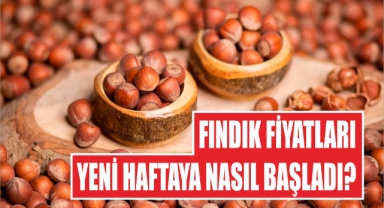 Fındık fiyatları yeni haftaya nasıl başladı?