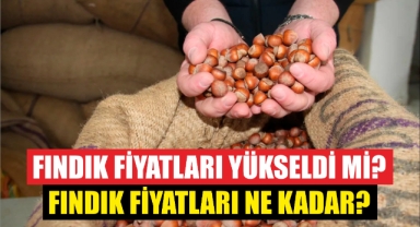 Fındık fiyatları yükseldi mi? Fındık fiyatları ne kadar?