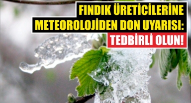 Fındık Üreticilerine Meteorolojiden Don Uyarısı: Tedbirli Olun!