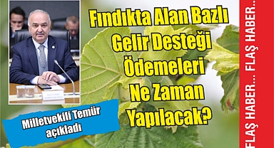 Fındıkta Alan Bazlı Gelir Desteği Ödemeleri Ne Zaman Yapılacak? Milletvekili Temür Açıkladı