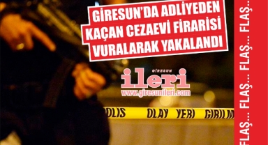 Giresun'da adliyeden kaçan cezaevi firarisi vurularak yakalandı