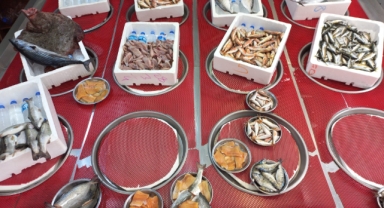 Giresun’da balık fiyatları bugün ne kadar?