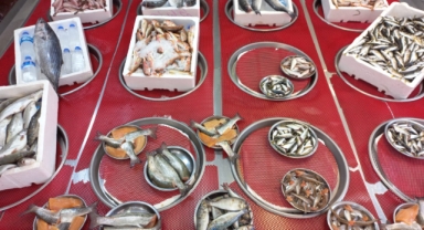 Giresun'da balık fiyatları bugün ne kadar?