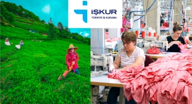 Giresun'da İŞKUR üzerinden en çok aranan iş ve meslek grupları nedir?
