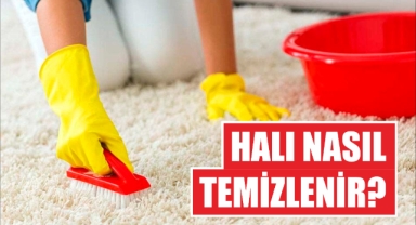 Halı nasıl temizlenir? Leke çıkarmanın püf noktaları