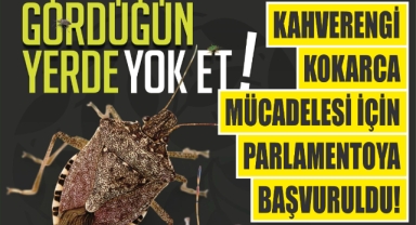 Kahverengi Kokarca Mücadelesi İçin Parlamentoya Başvuruldu!