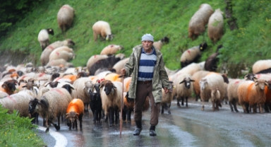 Karadeniz yaylalarına zorlu göç yolculuğu başladı
