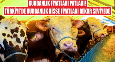 Kurbanlık Fiyatları Patladı! Türkiye'de Kurbanlık Hisse Fiyatları Rekor Seviyede