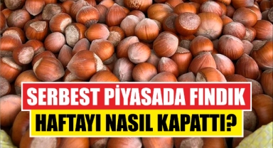Serbest piyasada fındık haftayı nasıl kapattı?