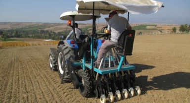 Yağ bitkisi ketencikte iki yeni tür geliştirildi