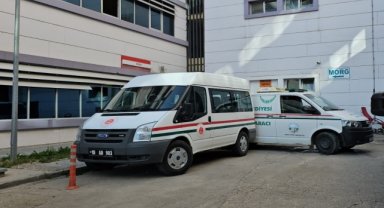 Arıların soktuğu kadın yaşamını yitirdi