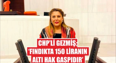 CHP’li Gezmiş, ‘Fındıkta 150 liranın altı hak gaspıdır’