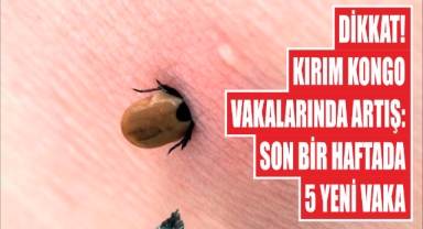 Dikkat! Kırım Kongo Vakalarında Artış: Son Bir Haftada 5 Yeni Vaka