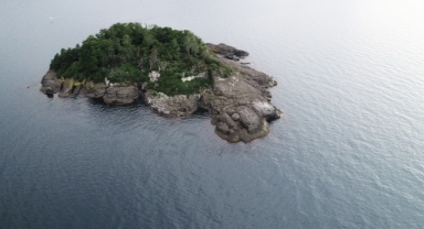 Doğu Karadeniz'in tek yaşanabilir adasını turizme kazandırmak için yatırımcı bekleniyor
