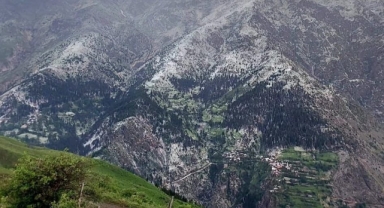Dolu yağışı tarım arazilerine zarar verdi