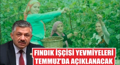 Fındık İşçisi Yevmiyeleri Temmuz'da Açıklanacak