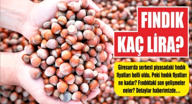 Fındık kaç lira?