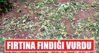 Fırtına fındığı vurdu