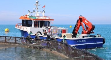 Giresun'da Bir İlk... İhracatı Başladı