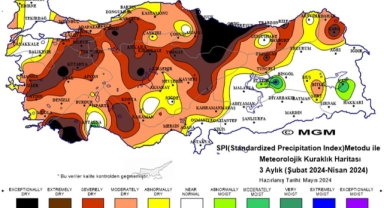 Giresun'da yağışlar yüzde 80 azaldı! Kuraklığa karşı çözüm ise tasarruf