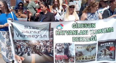 Giresun Hayvanları Koruma Derneği ve Hayvanseverler Yasa Tasarısını Protesto Etti