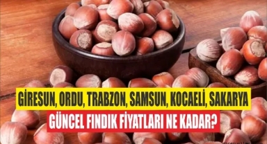 Giresun, Ordu, Trabzon, Samsun, Kocaeli, Sakarya Güncel Fındık Fiyatları Ne Kadar?