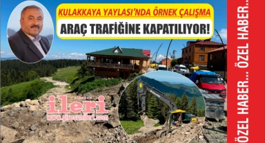 Giresun'un gözde yaylasında örnek çalışma: Araç trafiğine kapatılıyor!