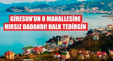 Giresun’un O Mahallesine Hırsız Dadandı! Halk Tedirgin