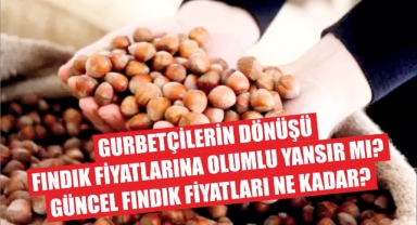 Gurbetçilerin dönüşü fındık fiyatlarına olumlu yansır mı? Güncel fındık fiyatları ne kadar?