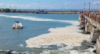 Karadeniz'deki kirliliğin müsilaj değil, alglerden kaynaklandığı ortaya çıktı