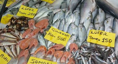 Kurban Bayramı öncesinde balık tezgahlarında son durum