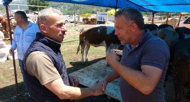 Kurban pazarlarında sıkı pazarlıklar başladı