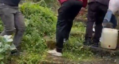 Rize'de vatandaş kurbanlıkla beraber duvardan aşağı düştü