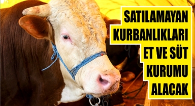 Satılamayan Kurbanlıkları Et ve Süt Kurumu Alacak