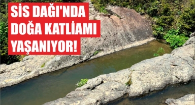 Sis Dağı’nda Doğa Katliamı Yaşanıyor!
