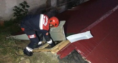 Yavru kedi 4 metre yükseklikten düştü, anne kedi herkesi duygulandırdı