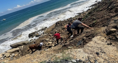 Zonguldak'ta kesime getirildiği sırada denize kaçan boğayı itfaiye ekipleri yakaladı