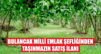 Bulancak Milli Emlak Şefliğinden Taşınmazın Satış İlanı