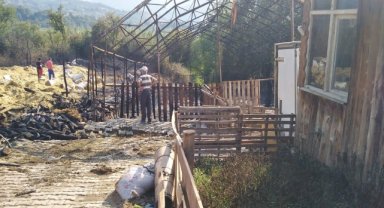 Bartın'da yangında 24 küçükbaş hayvan telef oldu