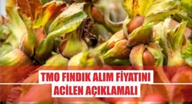 Bayraktar: 'TMO Fındık Alım Fiyatını Acilen Açıklamalı'