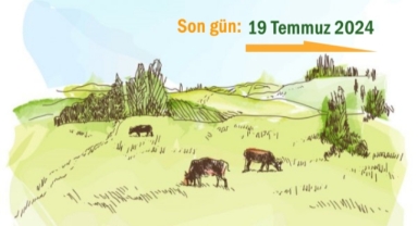 Besilik Erkek Sığır Desteği Başvuru Süresi Uzatıldı