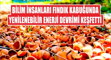 Bilim İnsanları Fındık Kabuğunda Yenilenebilir Enerji Devrimi Keşfetti