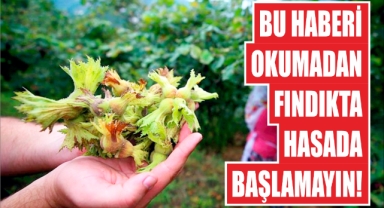Bu Haberi Okumadan Fındık Hasadına Başlamayın!