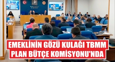 Emeklinin Gözü Kulağı TBMM Plan Bütçe Komisyonu’nda