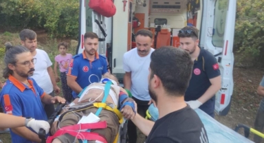 Fındık bahçesinde tırpan yaparken uçuruma yuvarlandı